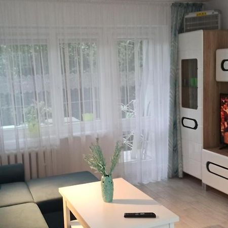 Magdalenka Apartment Legnica Bagian luar foto